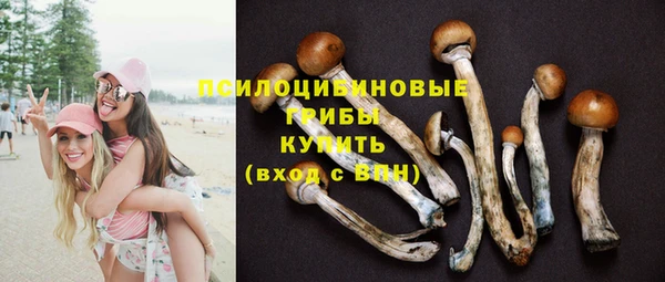 прущие грибы Володарск