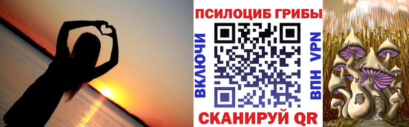 Купить где  Бутурлиновка  Псилоцибиновые грибы Psilocybe 